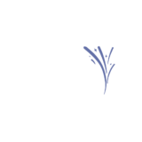 الشعارات الملونة 50 Copy