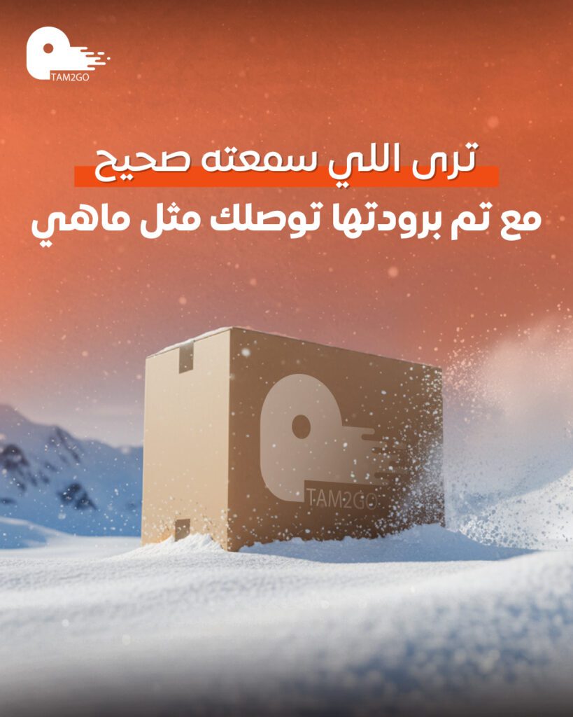 tam nov 4 - فيوتشر فيجن