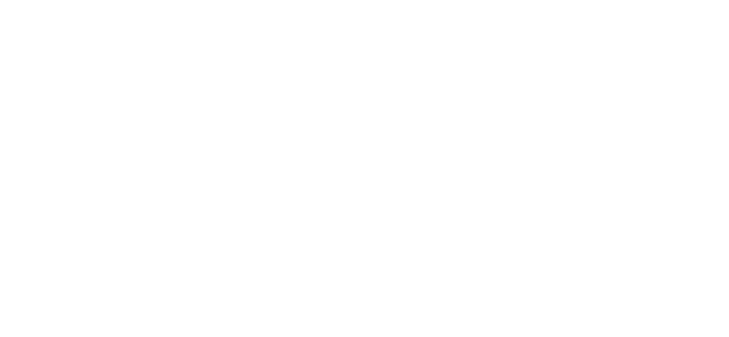 web logo-20