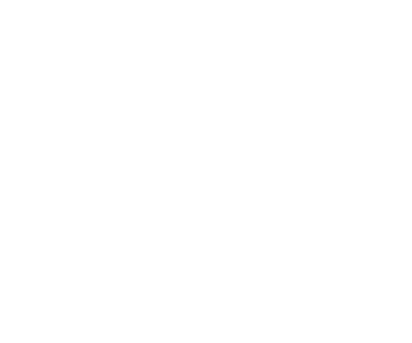 web logo-41